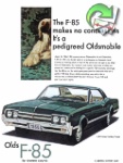 Oldsmoblie 1965 134.jpg